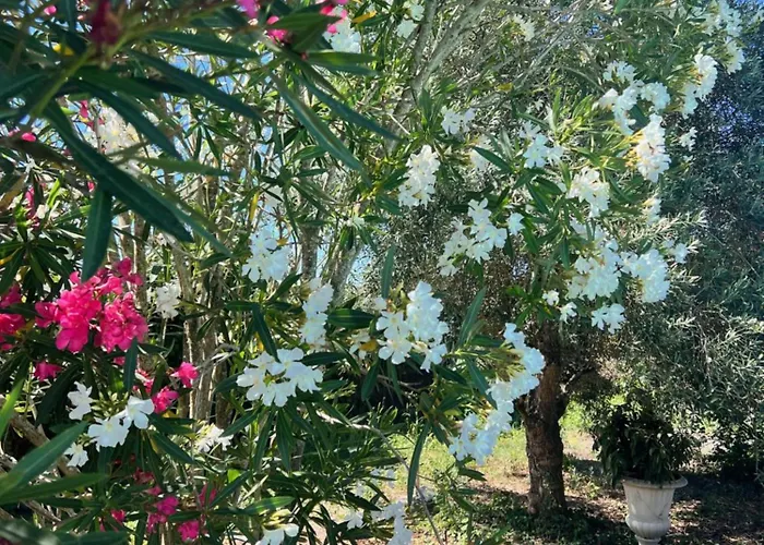 Le Relais Des Chateaux * Margaux-Cantenac